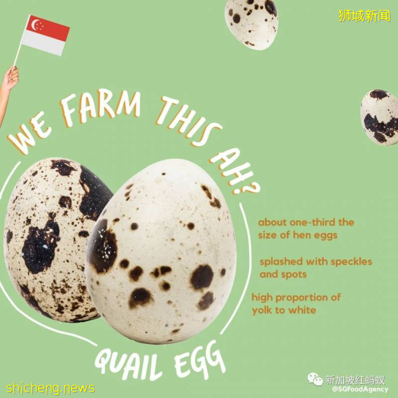 你知道這些蔬果、魚蝦、牛蛙和蛋類都是“新加坡生産”的嗎