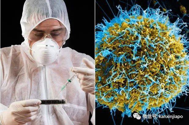 李显龙曾警告的神秘“X疾病”出现0号病人,死亡率可达90%