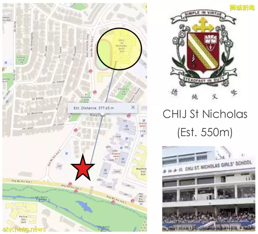 新加坡久等8年的地鐵、公園、雙學區房！開盤預計賣爆80%！7月9日開樣板間，搶預約