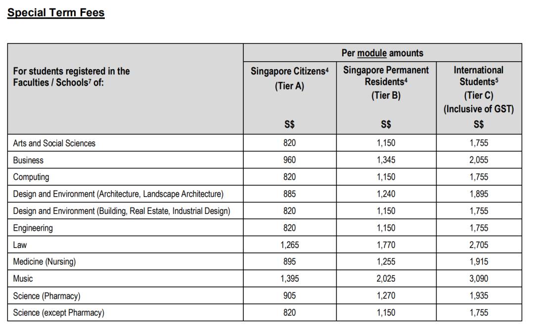 幹貨 國大 Special Term 詳解