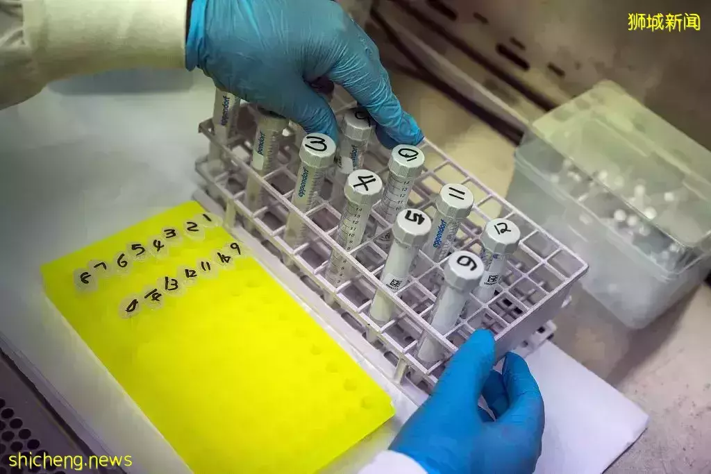 新加坡出现首起本土奥密克戎病例!科兴第三针间隔8个月接种效果最佳