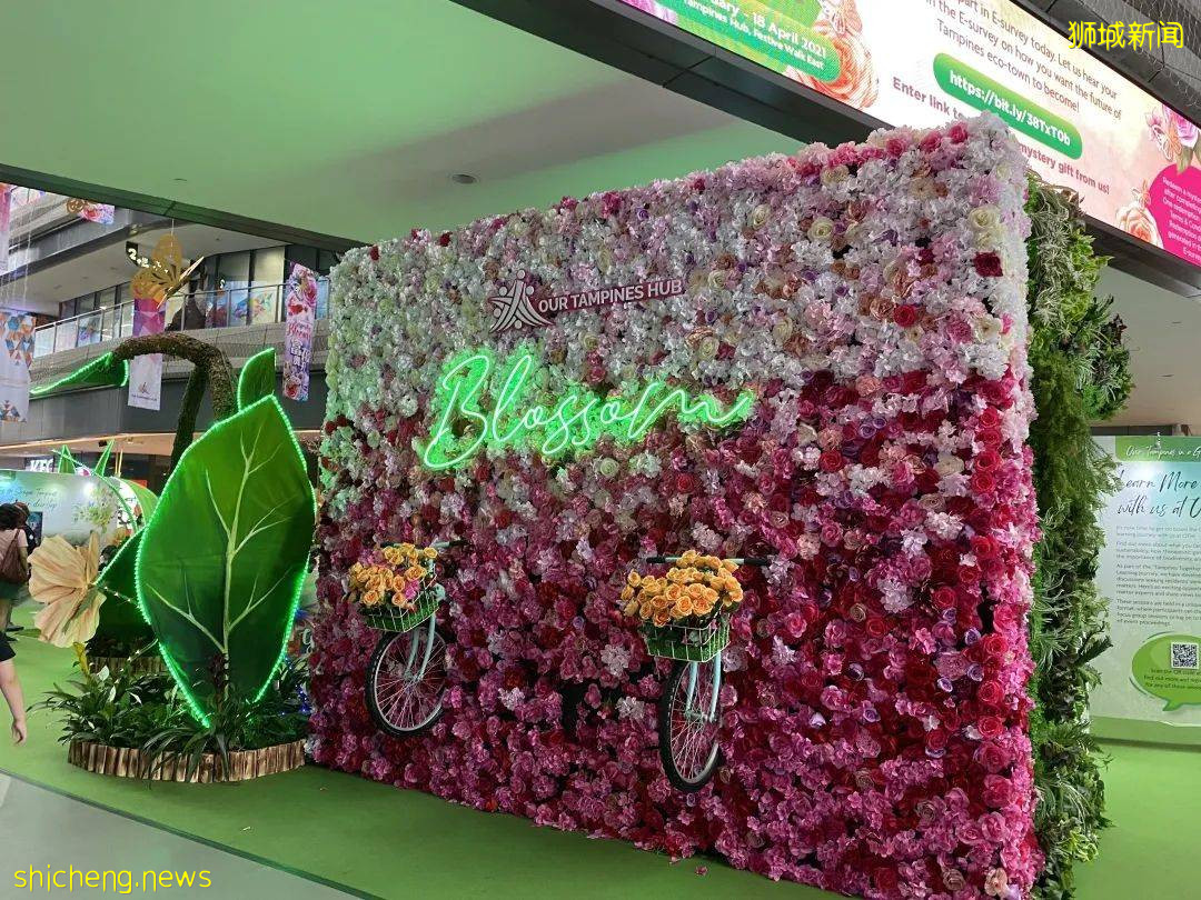 李顯龍總理打Call的超級大商城！開業就5000人擠爆，內附吃喝玩樂攻略