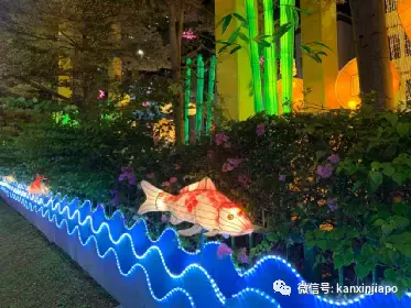 进入虎年开始倒计时,昨晚举行牛车水新年亮灯仪式