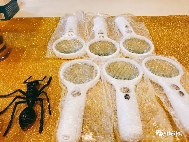 亞洲第一的螞蟻博物館居然在新加坡