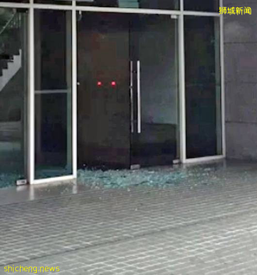 野猪撞向盛港地铁站玻璃门，幸好没有撞到人