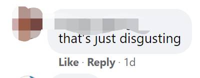 惊!新加坡蓄水池旁出现大量粉色生物……慎点