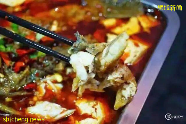 尚品冒菜套餐、老四川招牌豆花魚、喜來聚海鮮大咖回歸可派,今日外賣清單請查收