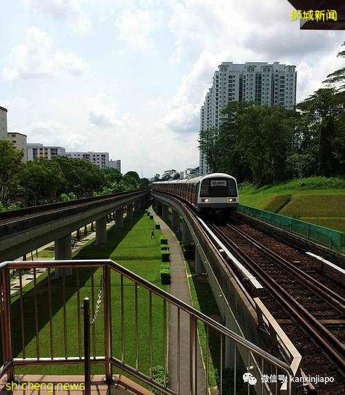 “能否爲我讓座?”暖心貼紙計劃開啓,這些人有特別福利