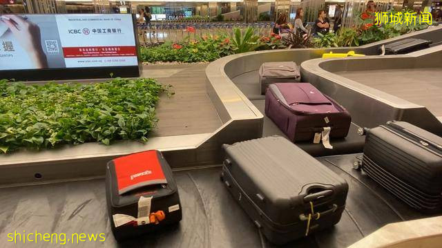 50张照片告诉你，“新加坡”有多么与众不同