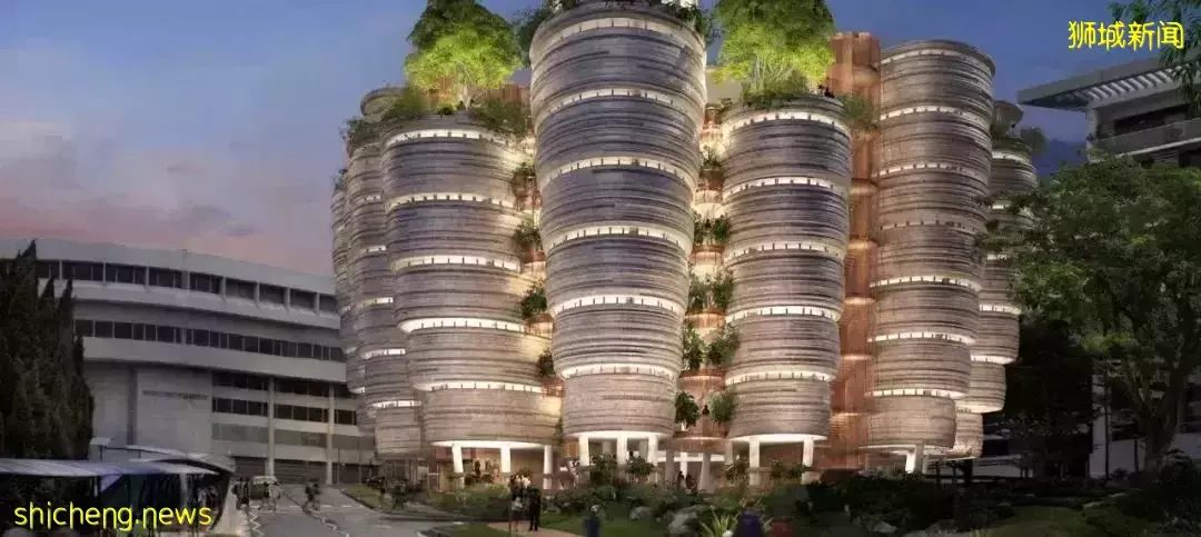 海外身份如何规划?新加坡三类移民途径盘点