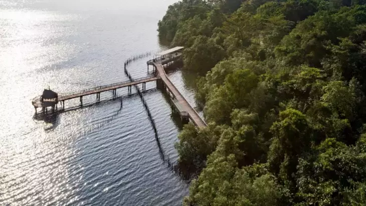 新加坡批准《區域全面經濟夥伴關系協定》