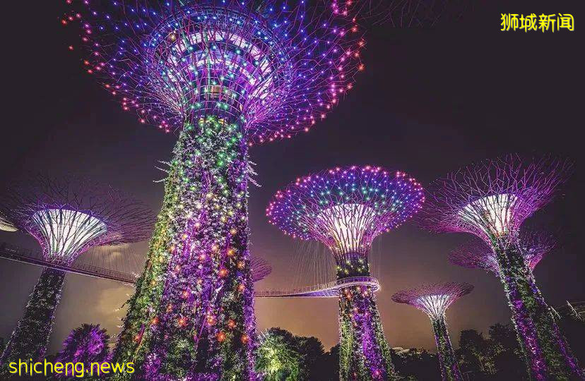 新加坡地鐵超全攻略！帶你玩轉獅城