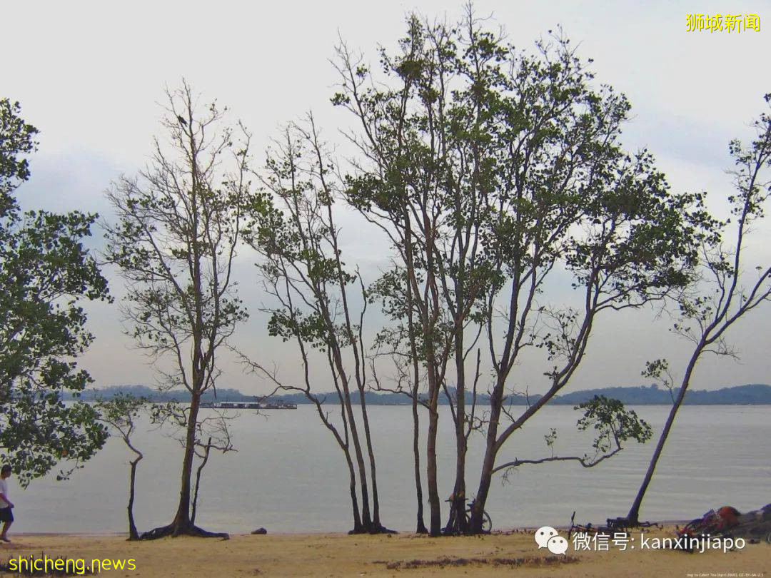 最全名字來曆大起底!新加坡綠線36個地鐵站,你知多少