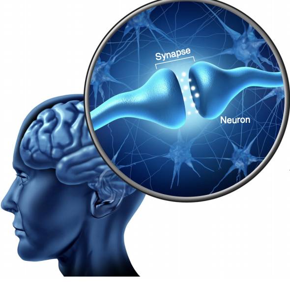 NTU 科研團隊實現機器人識別疼痛及自我修複功能