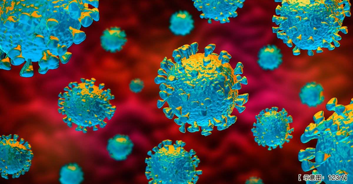 ◤新国CCB◢ 偷拍政府文告 夫妻泄露冠病资料被控