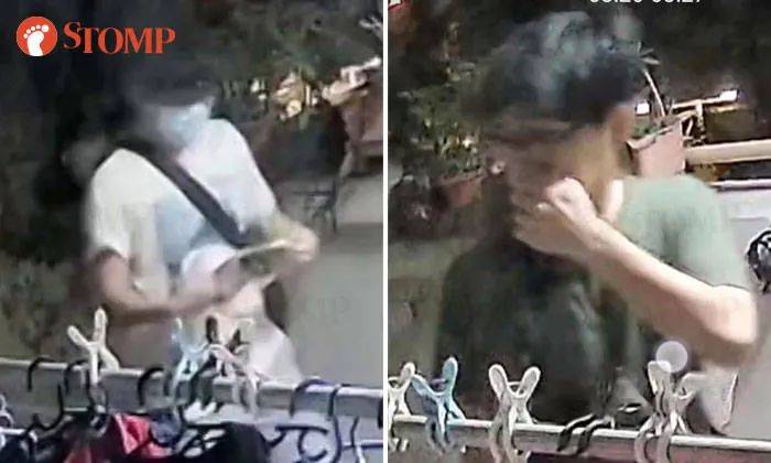 快過年了，竟有人在新加坡組屋走廊開“養雞場”，30只好熱鬧