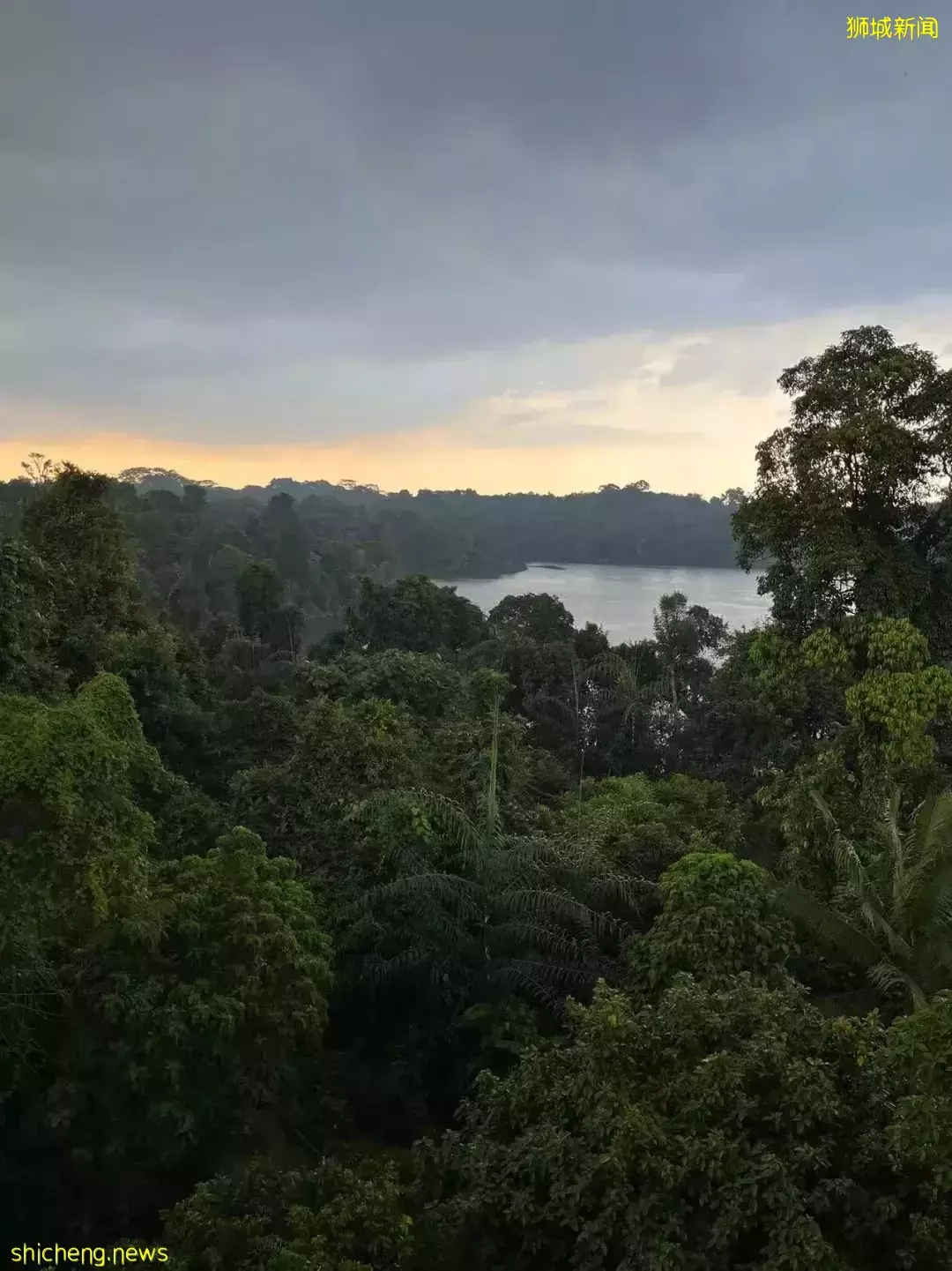 新加坡富人區驚現一匹黑馬奔騰!網友表示:好羨慕花園城市