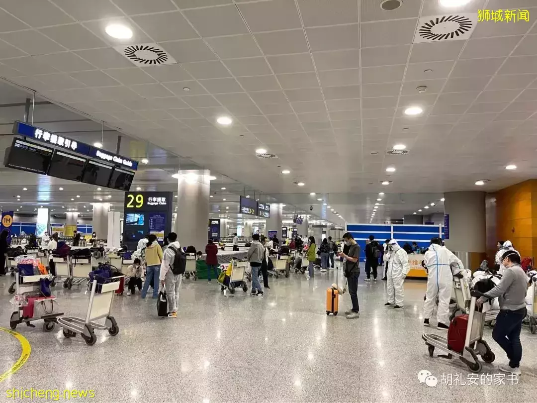 全過程記錄!4月4日從新加坡飛往封城中的上海,入境隔離多圖