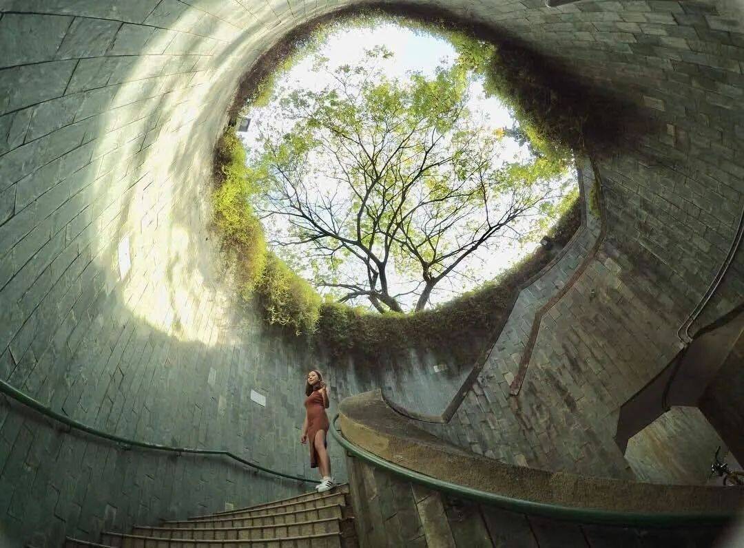 養娃聖地——新加坡周末遛娃好去處之上篇