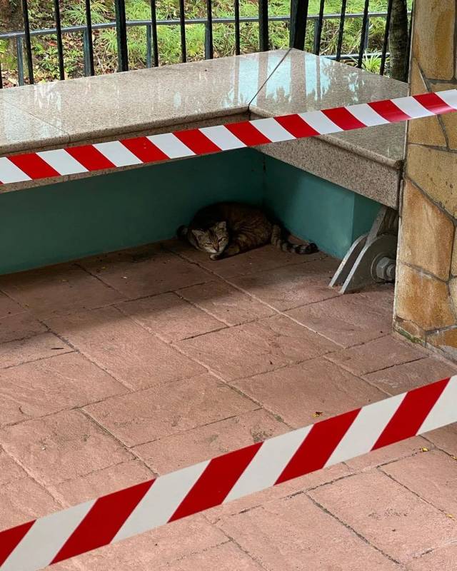 新加坡用膠帶做了一場大型公共藝術