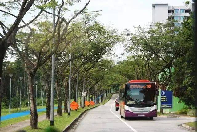 必讀!NTU 2021春季新生入學攻略來啦