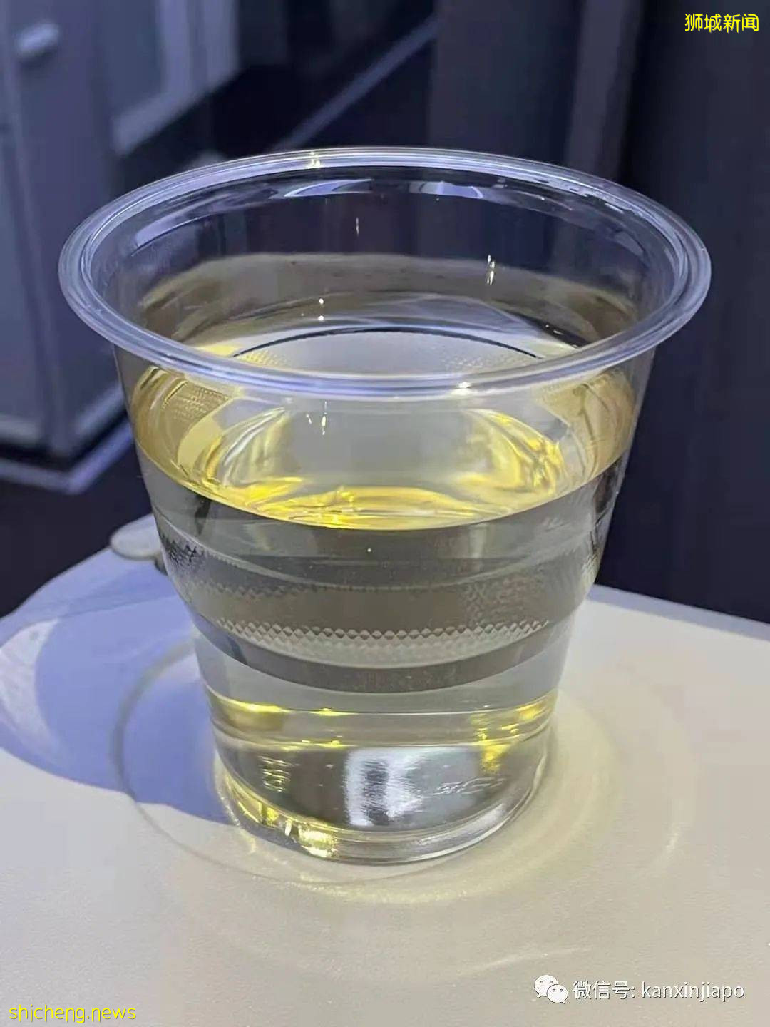 深圳飞新加坡最新实况!这些登机流程、隔离事项须注意