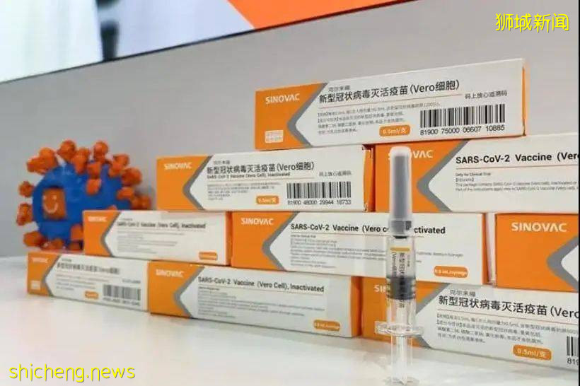 中新動態 中新關系展現出前瞻性、戰略性和示範性