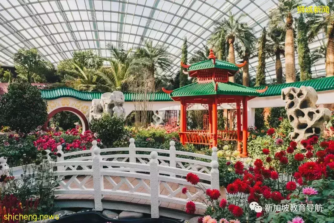 我在獅城過虎年(一)