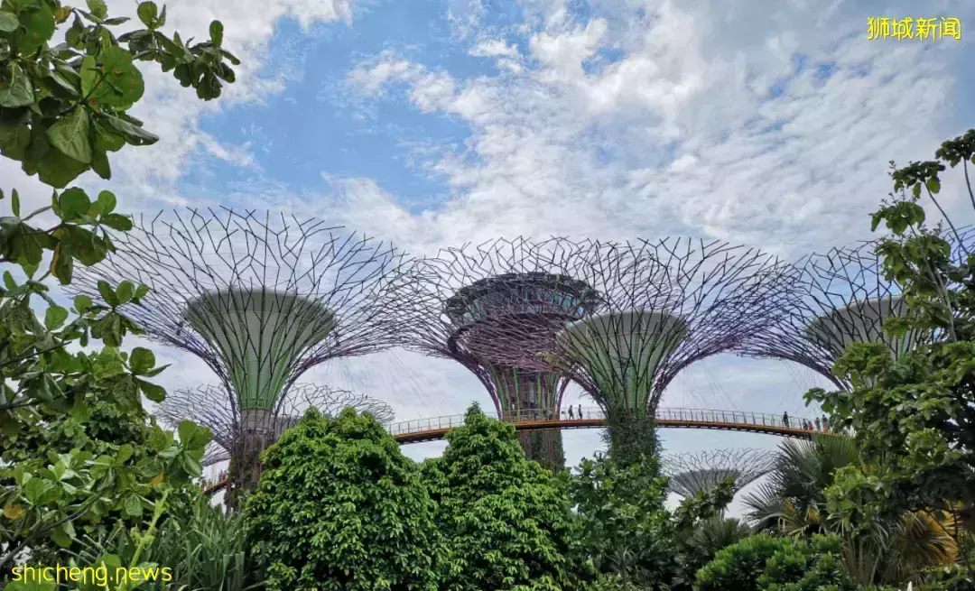 绿色经济、公平社会、可持续发展,新加坡2022年会实现哪些改变