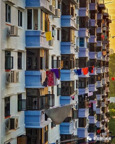 新加坡人镜头下“家的形状”是什么？　答案就在2500多张照片里