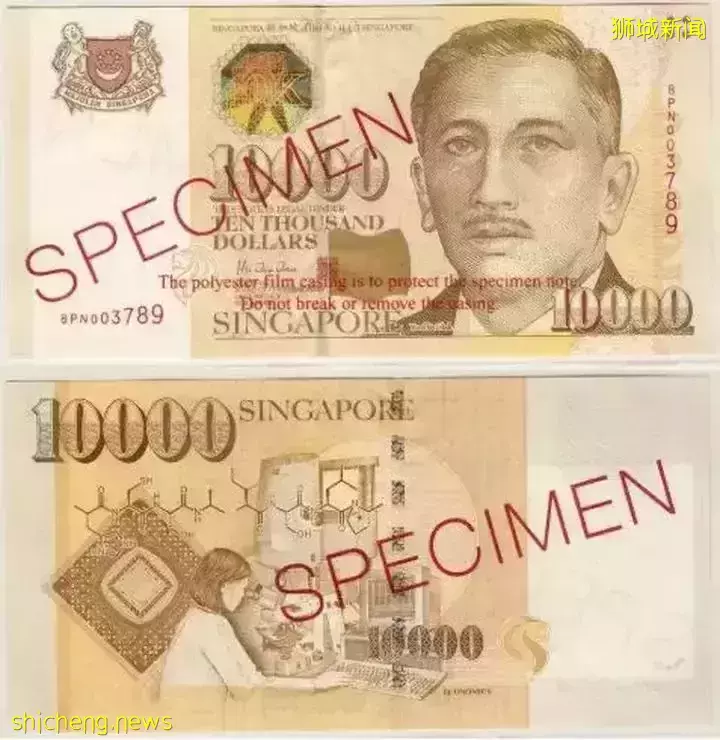 新加坡没狮子为啥叫“狮城”?这些奇奇怪怪的冷知识,你知道吗