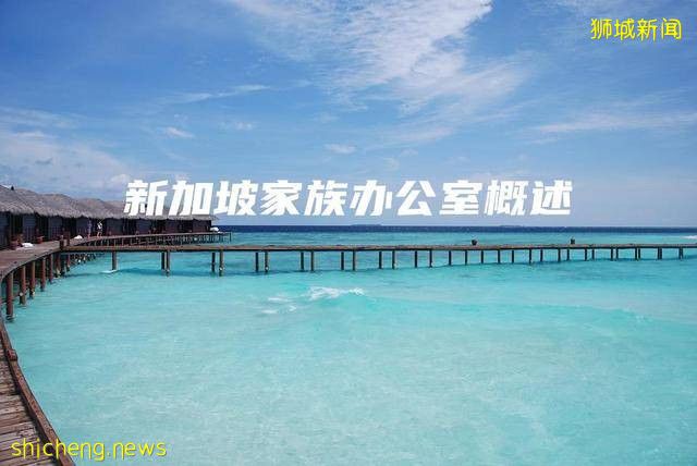 新加坡家族办公室概述