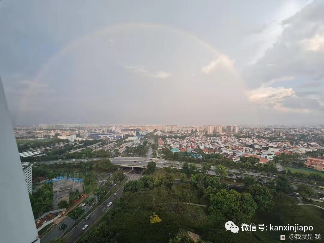 新加坡佳节祥瑞双彩虹！从副总理到外长，全岛都在拍照