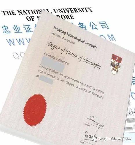 中国学生拿假文凭骗父母拿高薪?且看新加坡和中国如何打假