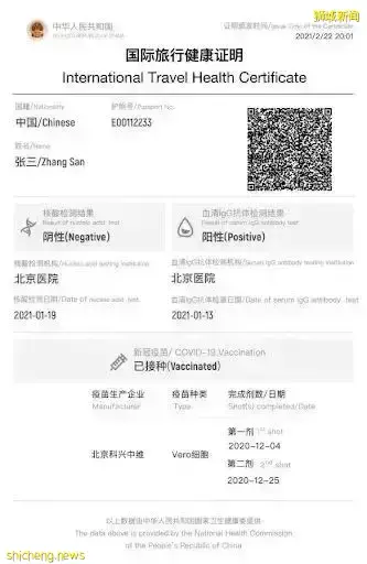 新生必看 疫情期間新加坡留學行前准備清單