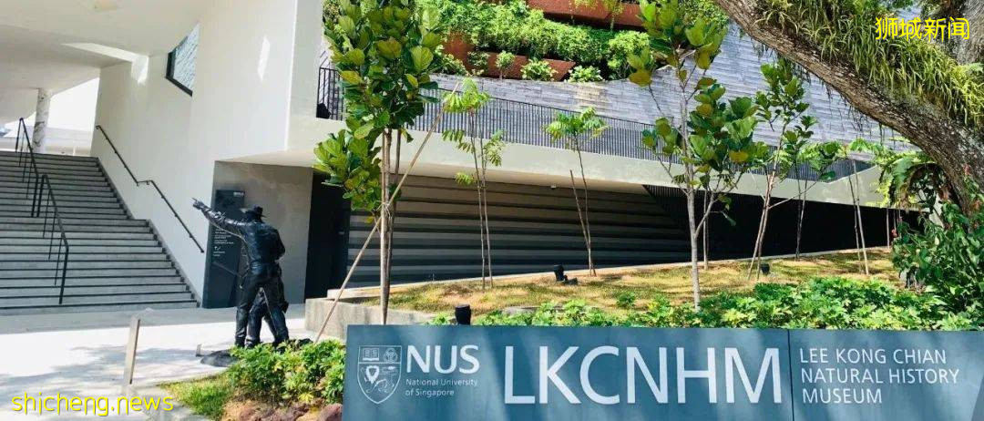 國大校園驚現水獺家族！背後竟有一段浪漫愛情故事