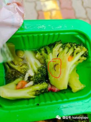 中国客工爆料：新加坡宿舍疫情爆发、吃住环境差；爱心人士积极捐急需物资