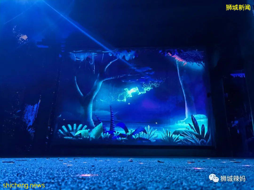 低至S$8！就3天！新加坡動物園“幻光雨林之夜”強勢回歸，亞洲第一夜遊體驗