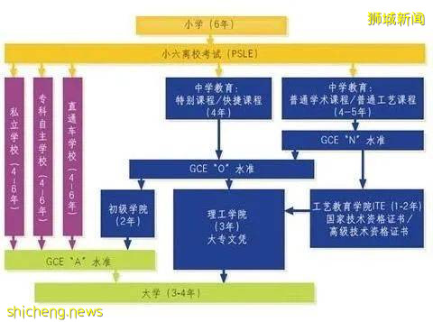 2022年最新 新加坡中小学和理工学院学费汇总