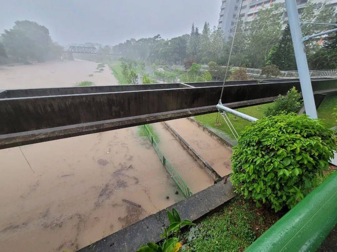 昨天!新加坡遭40年来最强暴雨袭击,全岛多处被洪水淹没,驾车犹如水中行船