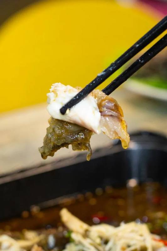 吃火锅自助就送烤鱼！好来屋年终劲爆福利已上线