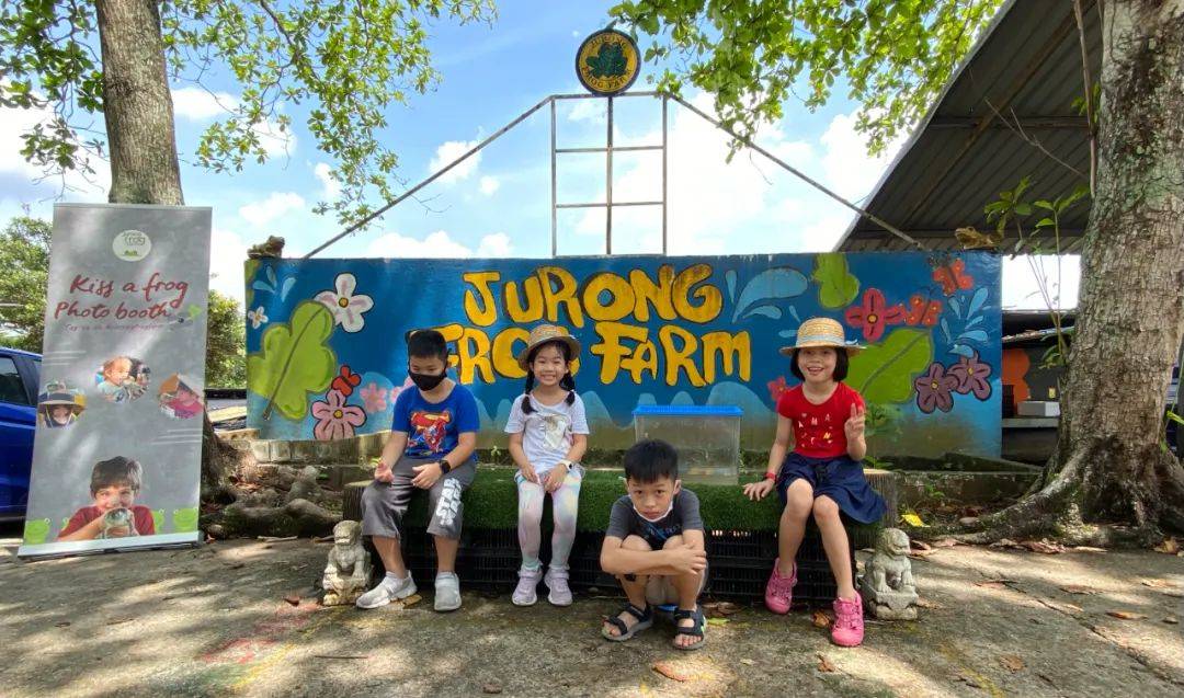 餵羊、擠奶、了解青蛙生長過程,新加坡的農場這麽牛