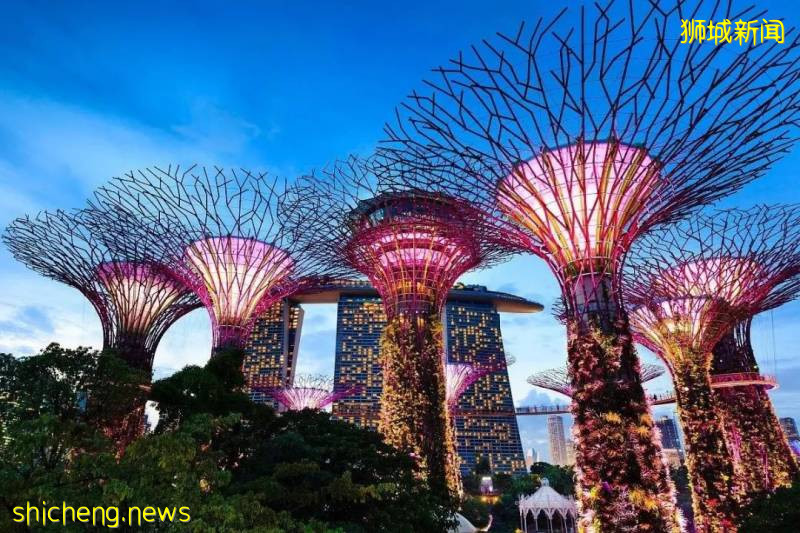 注冊新加坡公司的好處!