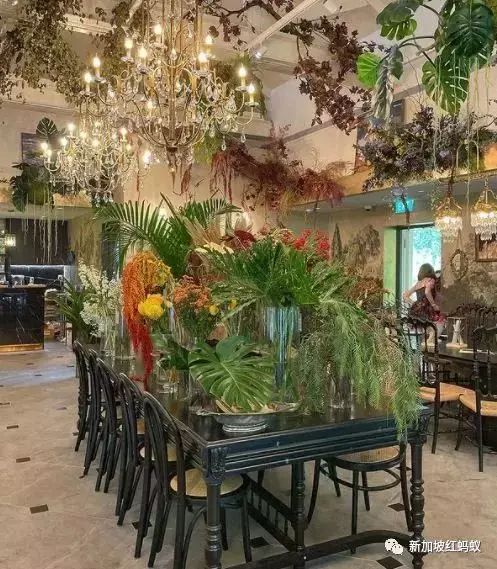 新加坡公園的浪漫,只有去過這些隱藏版特色餐館的人才懂