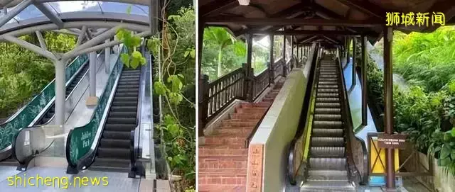 告別“塑料遊樂場”，看新加坡的公園如何诠釋“高大上”