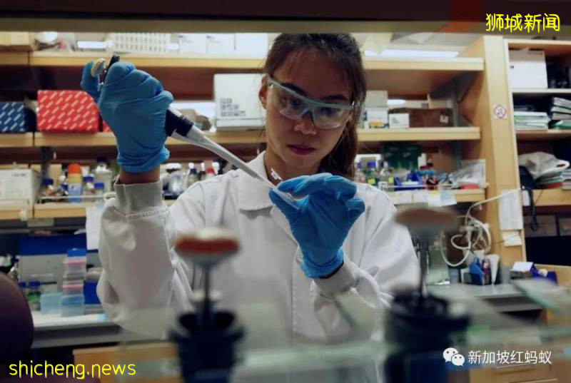 第二波疫情的風險仍在 新加坡研發的疫苗來得及搶先嗎