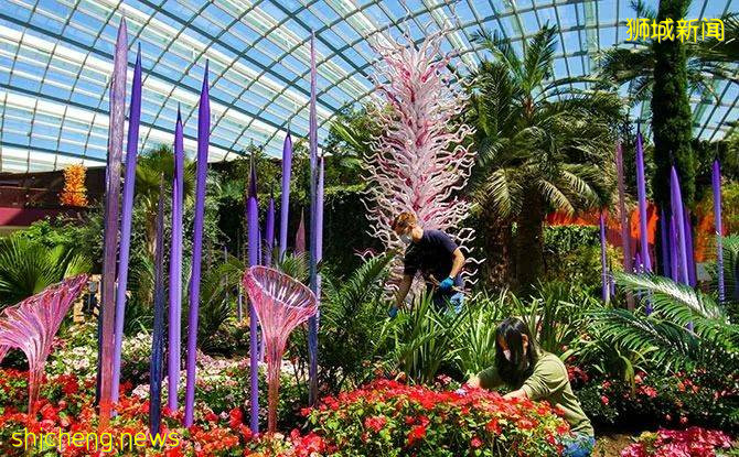 【周末幹啥】宅家也能吃喝玩樂，1元薯條、外賣買1送1、超美徒步路線