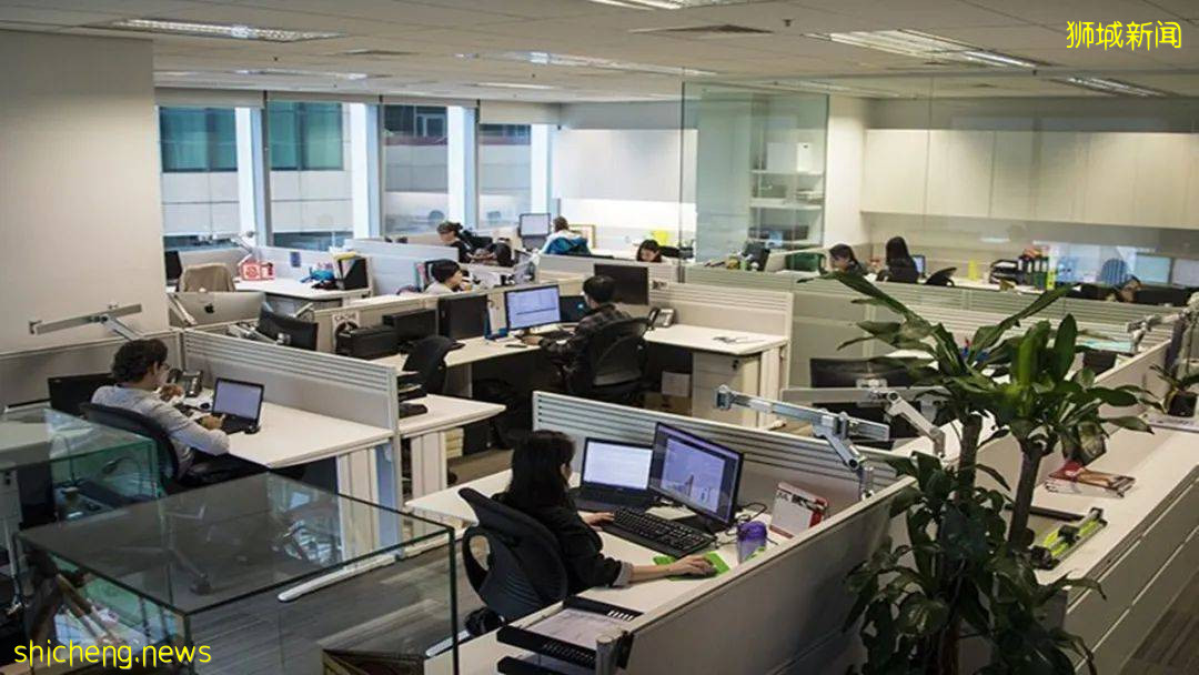 在新加坡做程序员,我一个女孩子该何去何从