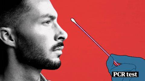 穿防护服飞南京,“真心”像极了两只大北极熊