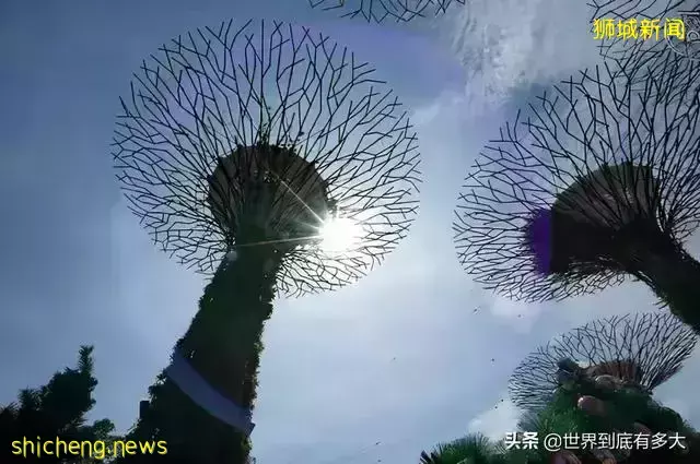 45张照片,带你见识新加坡,不为人知的另一面